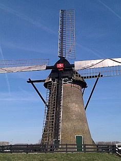 De binnenroe is deels onttakeld.