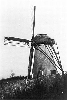 Deze foto is gemaakt tussen 1933 en 1944. Deze foto is gemaakt tussen 1933 en 1944.